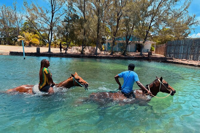 Bamboo Rafting & Horseback Ride n Swim Guided Tour In Montego Bay - Transport, timing, and the private-tour question