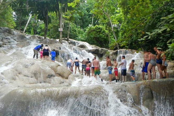 Beach Horseback Riding and Dunn’s River Falls - Four hours, private group, and pickup