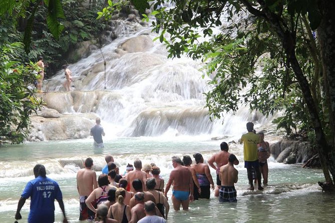 Beach Horseback Riding and Dunn’s River Falls - Who should book this Ocho Rios tour?