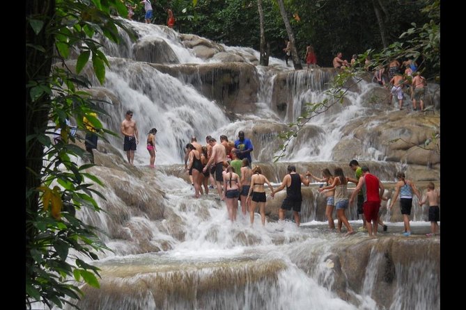 Beach Horseback Riding and Dunn’s River Falls - Getting started with the horses