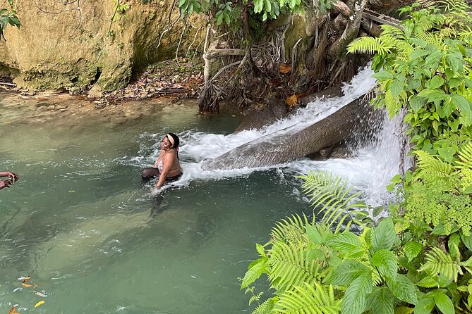 Benta River & Falls Private Tour From Montego Bay - Is $145 per person a fair price?
