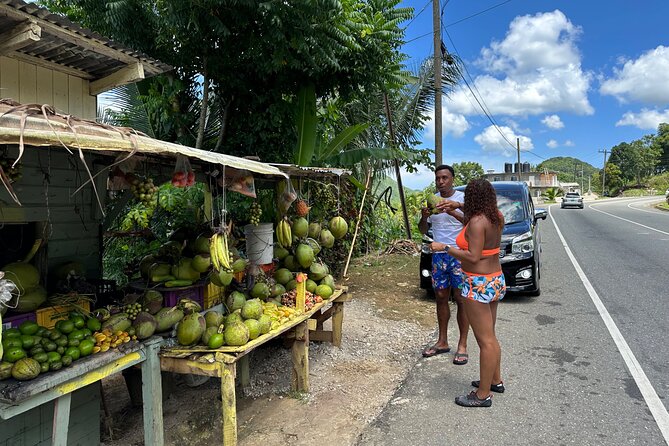 Benta River & Falls Private Tour From Montego Bay - Rope swing, underwater caves, and the mud bath