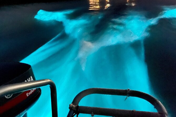 Bioluminescence Lagoon Tour from Montego Bay with Pick Up - Weather, Moonlight, and the Risk of Disappointment