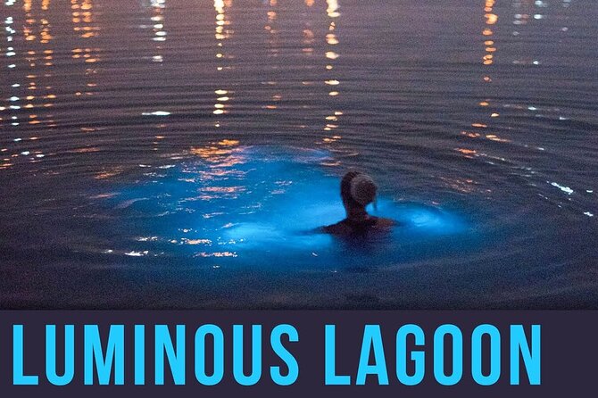 Bioluminescence Lagoon Tour from Montego Bay with Pick Up - Booking, Timing, and Cancellation Details