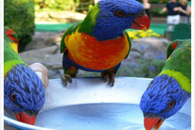 Bird Sanctuary and animal farm Day Tour - Key things to know before you book