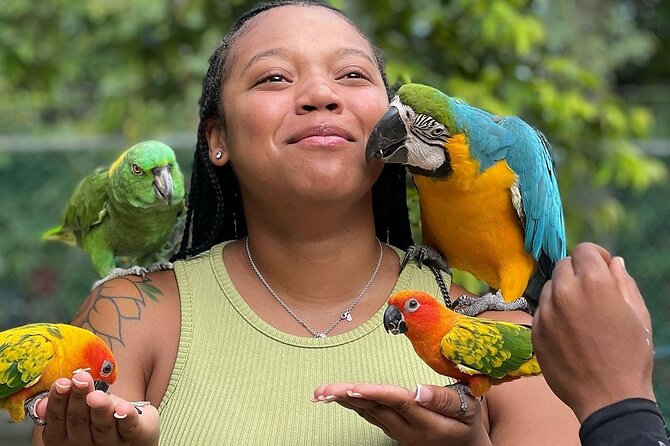 Bird Sanctuary and animal farm Day Tour - From Montego Bay to Anchovy’s bird sanctuary