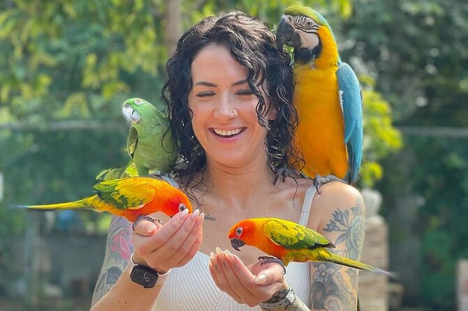 Bird Sanctuary and animal farm Day Tour - The animal farm and hands-on fun