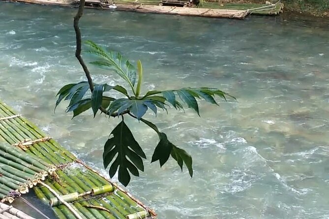 Bird Sanctuary and/or Lethe Bamboo Rafting from Montego Bay - The road time and private transport