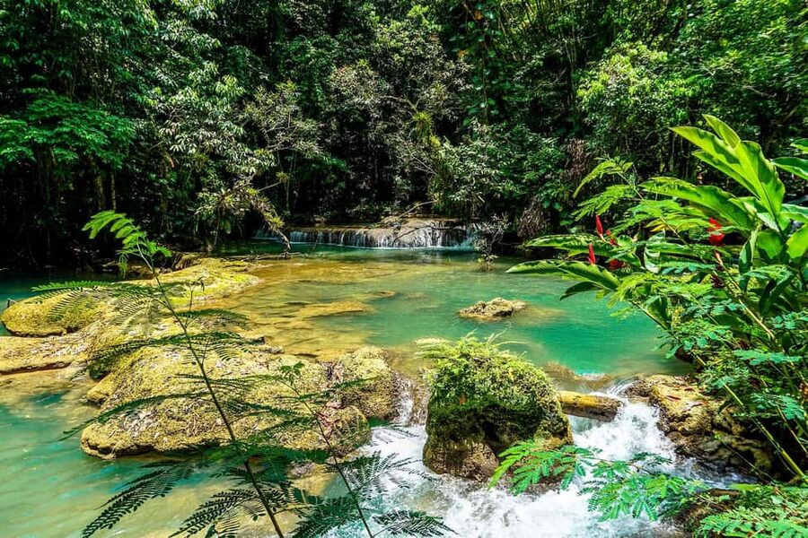 Black River Safari and Ys Falls Tour and Transportation - What the private format changes