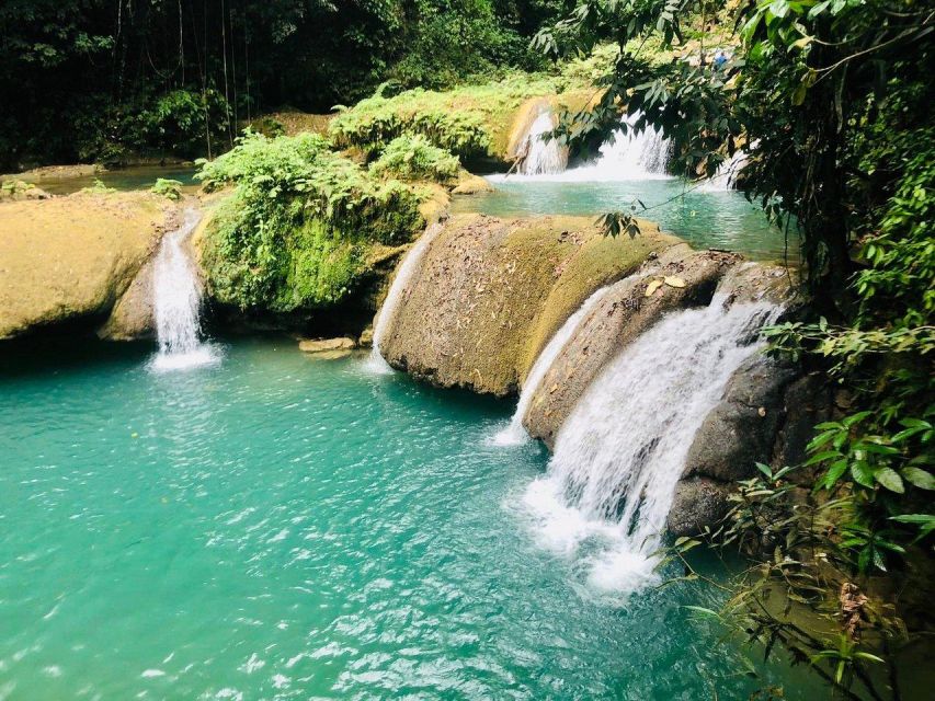Black River Safari and Ys Falls Tour and Transportation - A closer look at the guide service