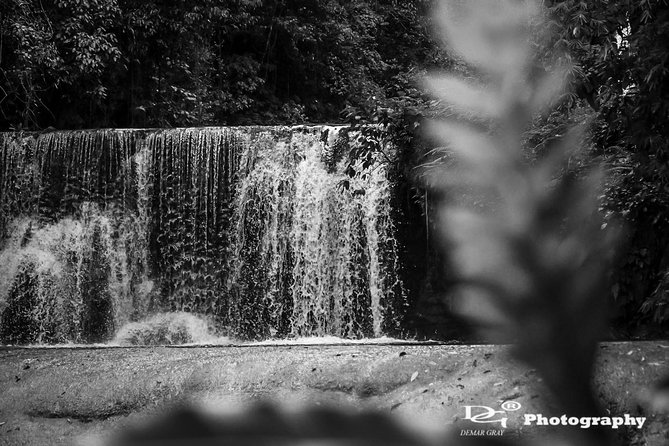 Black River Safari and YS Water Falls - Why pair Black River with YS Falls?