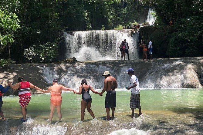 Black River Safari and YS Water Falls - The real price: $162 before lunch