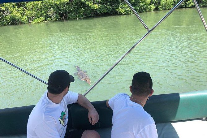 Black River Safari and YS Water Falls - The Black River safari, three miles of wildlife