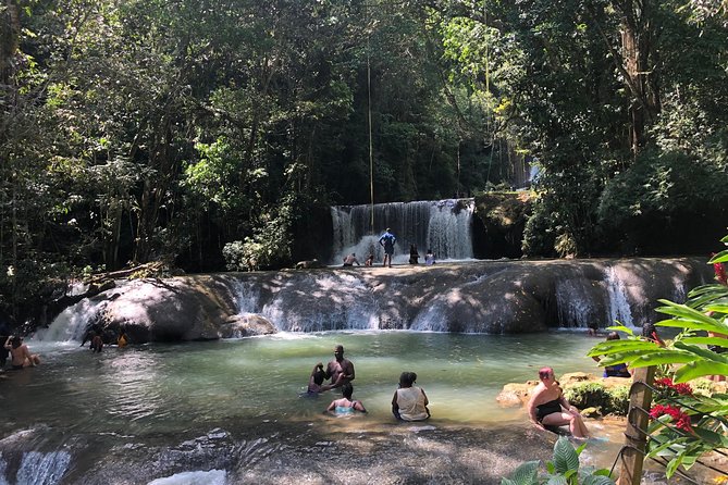 Black River Safari, YS Falls and Appleton Estate - Five things to know before booking