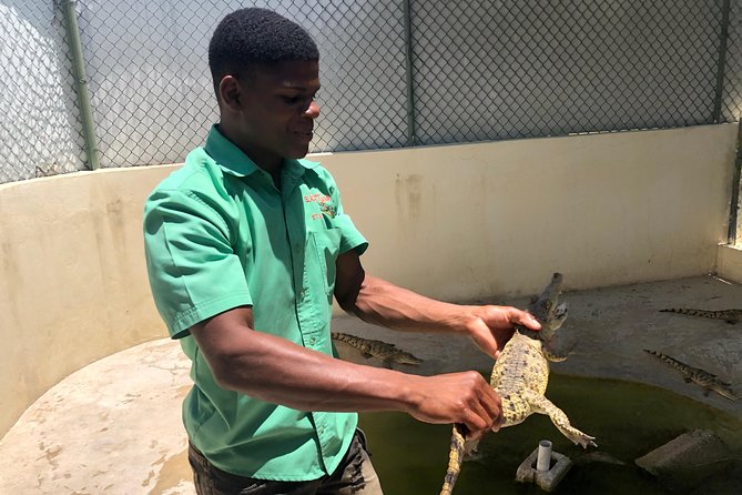 Black River Safari, YS Falls and Appleton Estate - Appleton Estate: a two-hour lesson in Jamaican rum