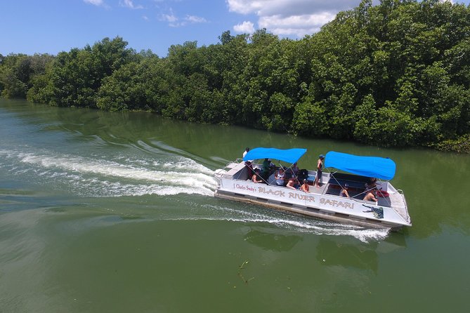Black River Safari, YS Falls and Appleton Estate - The guides can shape the whole experience