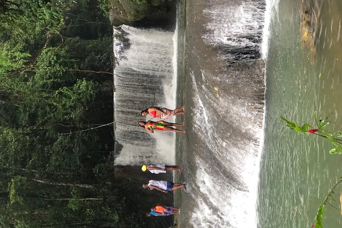 Black River Safari, YS Falls and Appleton Estate - Who should book this Jamaica excursion?
