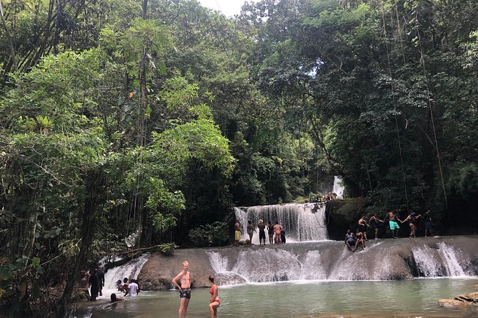 Black River Safari, YS Falls and Appleton Estate - Booking, cancellation, and practical details