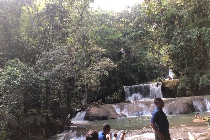 Black River Safari, YS Falls and Appleton Estate - Black River: wetlands, crocodiles, and a quiet boat ride