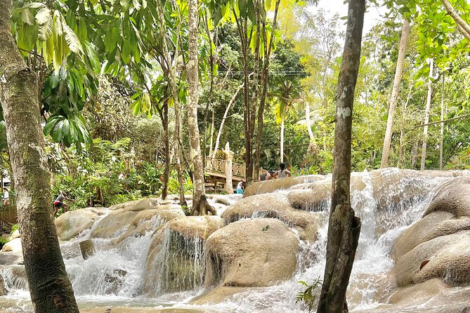Blue Hole and Dunn's River Tour (Entrance Fees Not Included) - Local conversation is part of the value