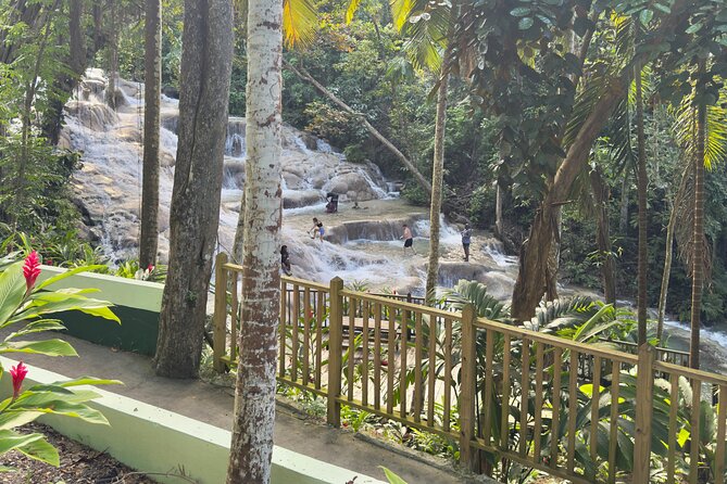 Blue Hole and Dunn's River Tour (Entrance Fees Not Included) - Who will enjoy this tour most?