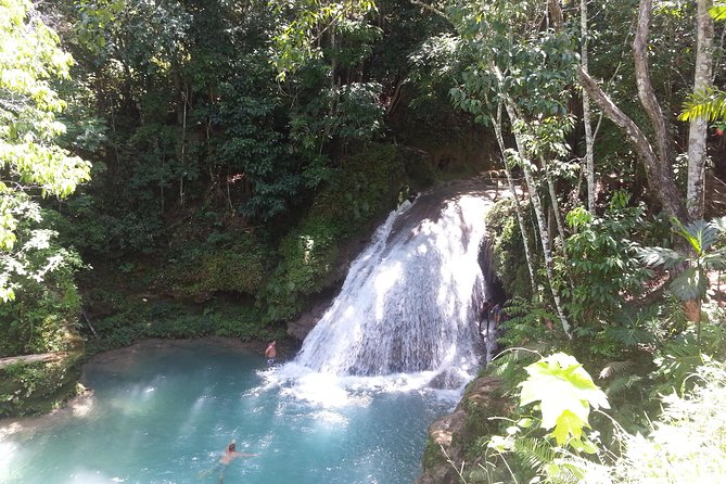 Blue Hole and Dunns River Falls from Falmouth - The 30-minute move to Dunns River Falls