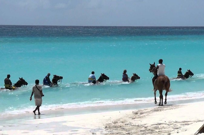Blue Hole and Horseback Riding and Shopping - Horseback riding through the countryside