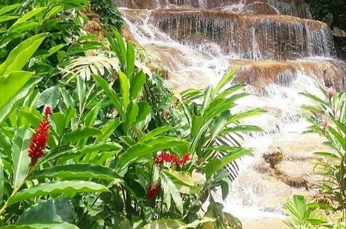 Blue Hole And Konoko Falls Combo Tour From Ocho Rios & Runaway Bay! - The driver can shape the whole day
