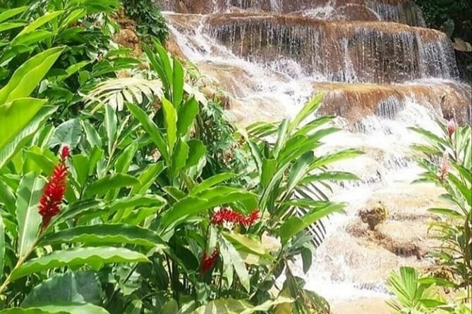 Blue Hole And Konoko Falls Combo Tour From Ocho Rios & Runaway Bay! - Small groups make the $95 easier to justify
