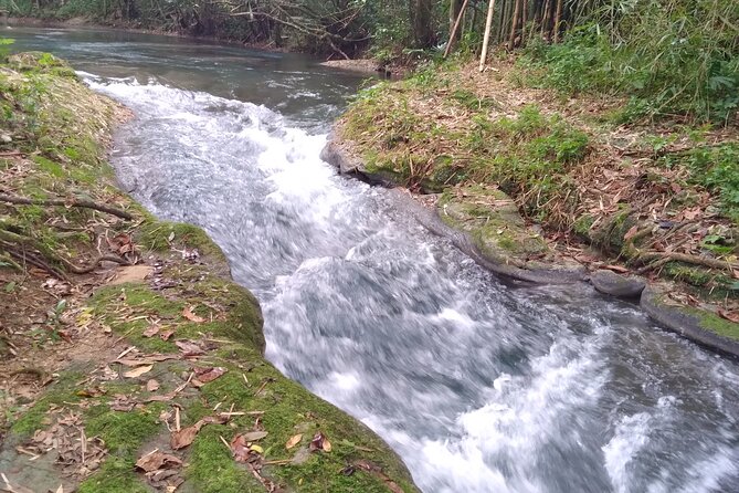 Blue Hole and River Tubing Combo from Ocho Rios - Timing matters for cruise passengers