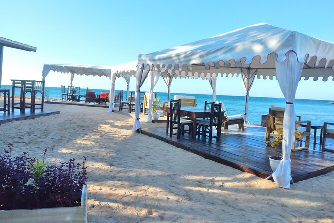 Blue Hole, Dunn's River Falls + Lunch & Cocktails at Bamboo Beach - Practical advice for a smoother day