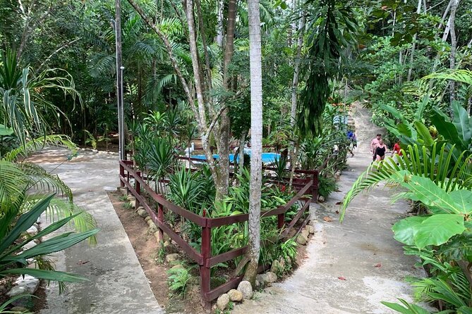 Blue Hole & Dunn's River Falls with Lunch from Negril - Who will enjoy this day most