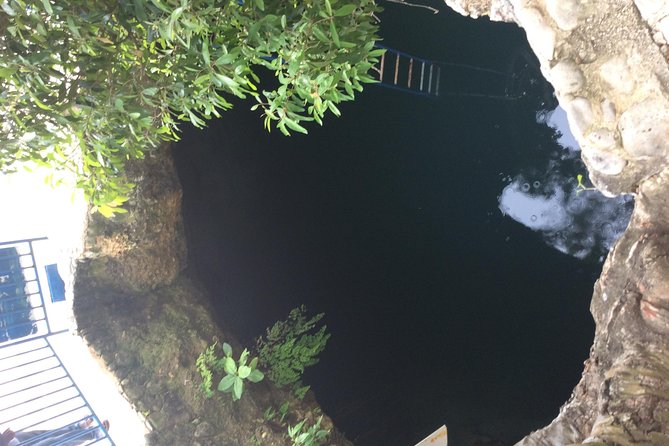 Blue Hole Mineral Springs, Rick's Café, and Shopping Combo Tour - Why this Negril combination works