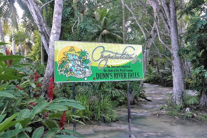 Blue Hole plus Secret Falls and Dunns River Falls Combo from Runaway Bay Hotels - Blue Hole: pools, ropes, jumps, and Secret Falls