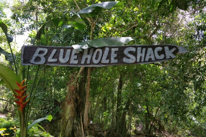 Blue Hole/Secert falls and Dunns River Combo Tour - Why pair Blue Hole with Dunn’s River?