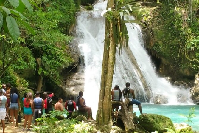 Blue Hole/Secert falls and Dunns River Combo Tour - What the $124 price really gets you