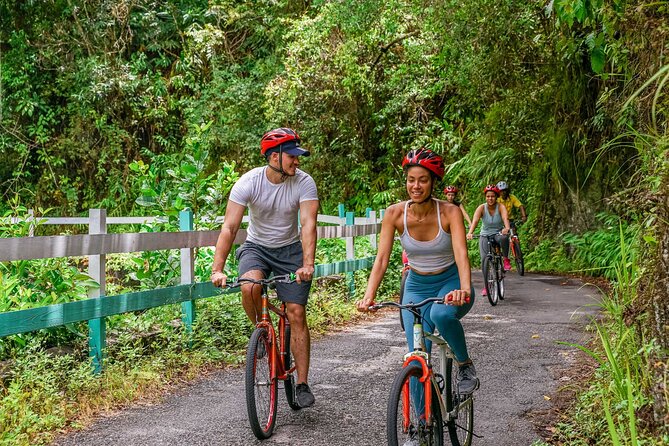 Blue Mountain Bicycle Tour - Lunch and the waterfall finish