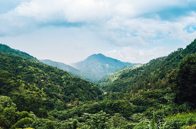 Blue Mountain Bicycle Tour - Who will enjoy this Blue Mountain day