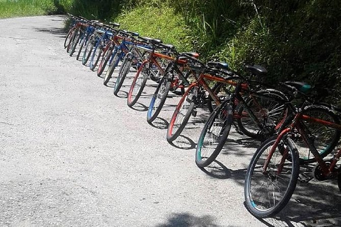 Blue Mountain Bicycle Tour from Montego Bay - Coffee fields and Jamaican mountain culture