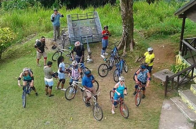 Blue Mountain Bicycle Tour from Montego Bay - Safety and the role of the guide