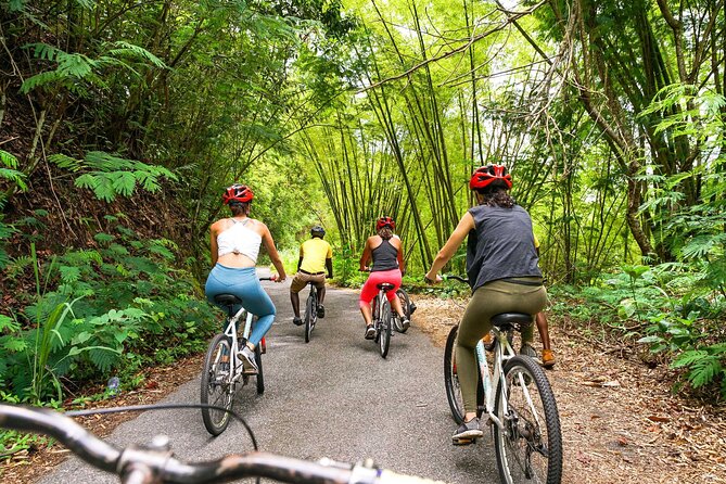 Blue Mountain Bicycle Tour - Brunch, coffee, and the best early stop