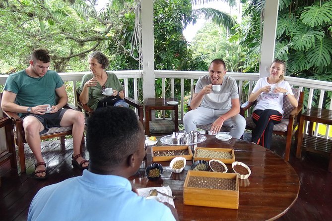 Blue Mountain Coffee and Sightseeing Tour - Why this Kingston outing works well
