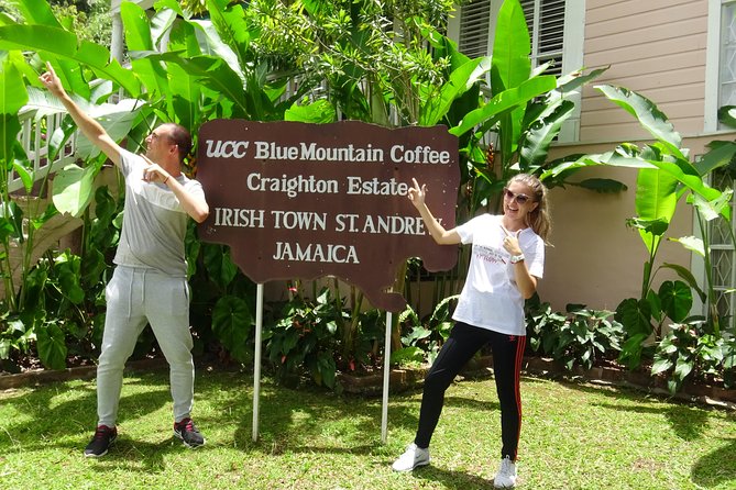 Blue Mountain Coffee and Sightseeing Tour - Learning how Blue Mountain coffee is made