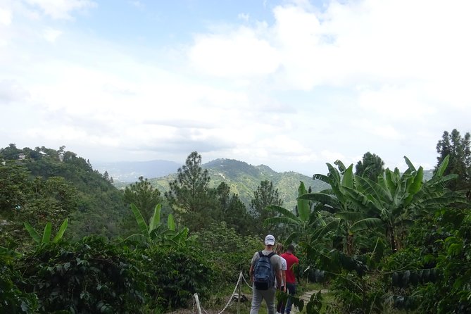 Blue Mountain Coffee and Sightseeing Tour - Newcastle JDF Camp and the Kingston view