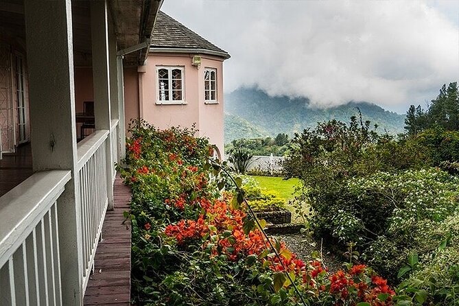 Blue Mountain Coffee, Bob Marley and Art Tour from Montego Bay - The Bob Marley Museum in Kingston