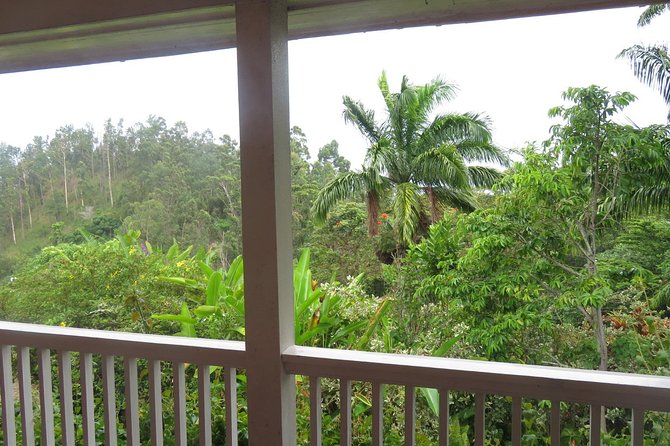 Blue Mountain Path Finder - A scenic lunch stop in the mountain hills