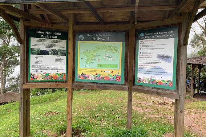 Blue Mountain Peek, and Site Seeing - Holywell Park and the quiet side of Jamaica