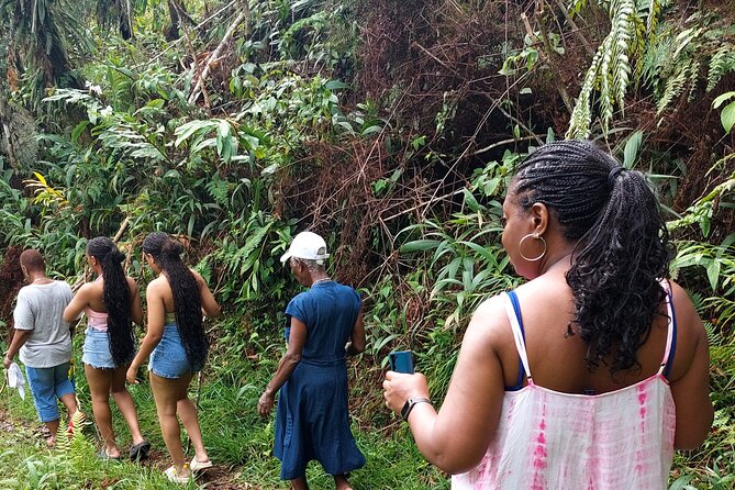 Blue Mountain Sight-Seeing & Nature Trail Hike with Private Guide - Key things to know before you go