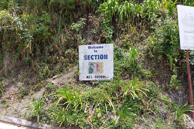 Blue Mountain Sight-Seeing & Nature Trail Hike with Private Guide - Leaving Ocho Rios for the Blue Mountains