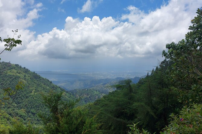 Blue Mountain Sight-Seeing & Nature Trail Hike with Private Guide - Four hours among Holywell Park trails